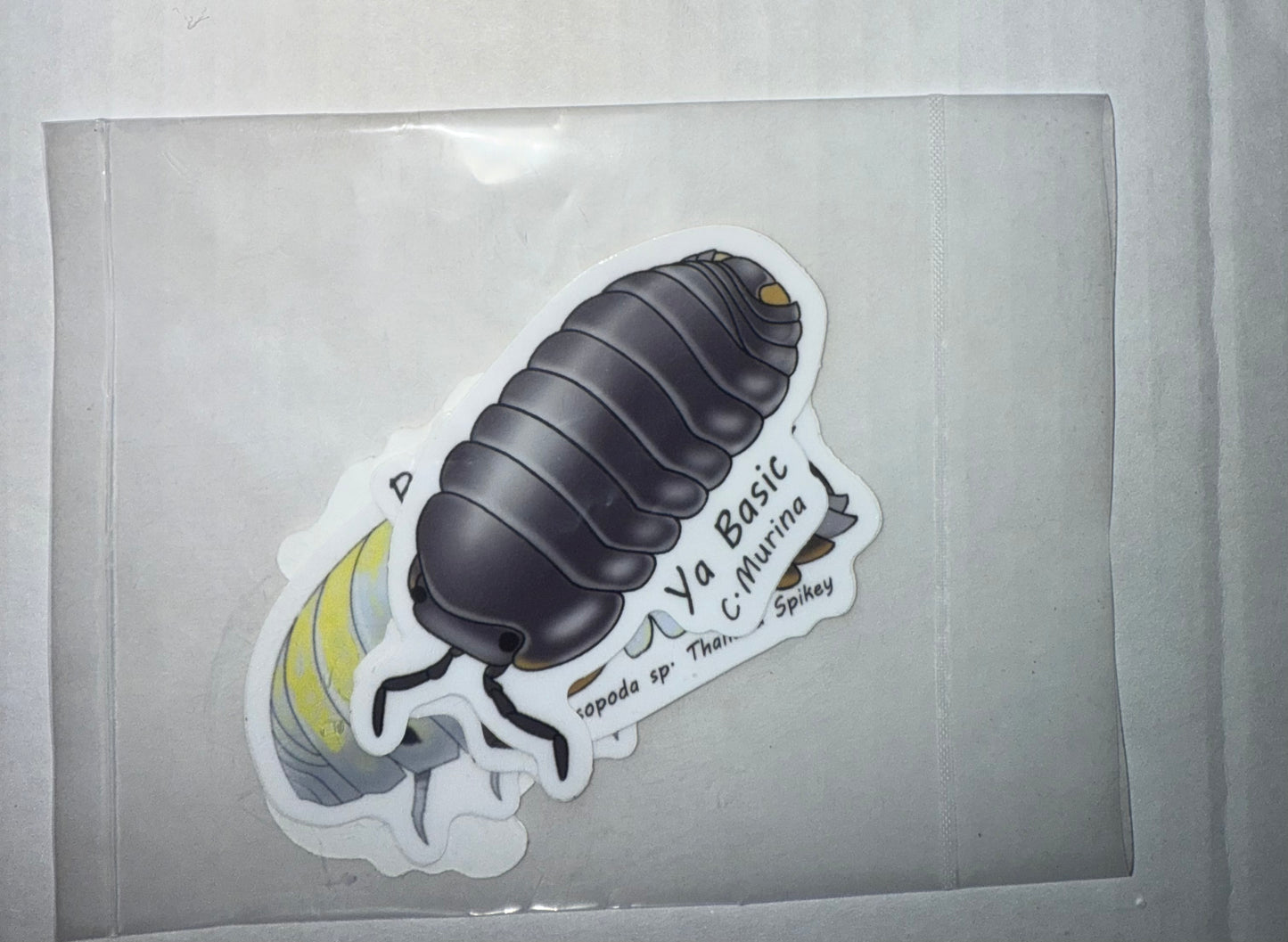 Isopod Stickers 4Pack