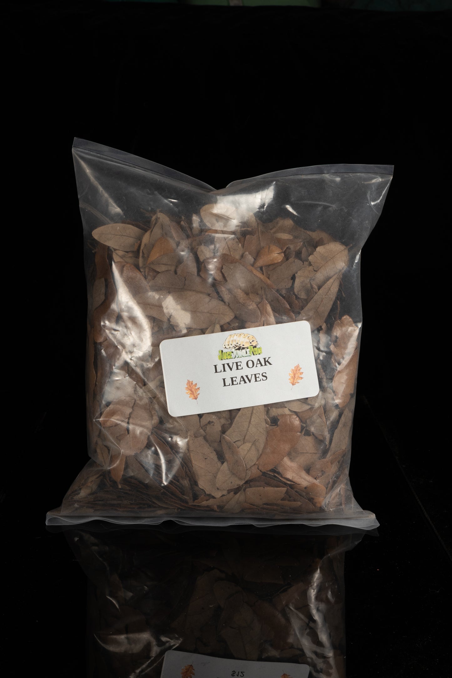 Live Oak Leaves