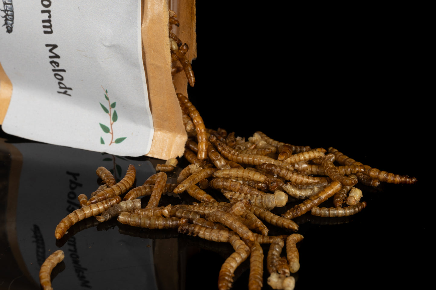 JAMz mealworms